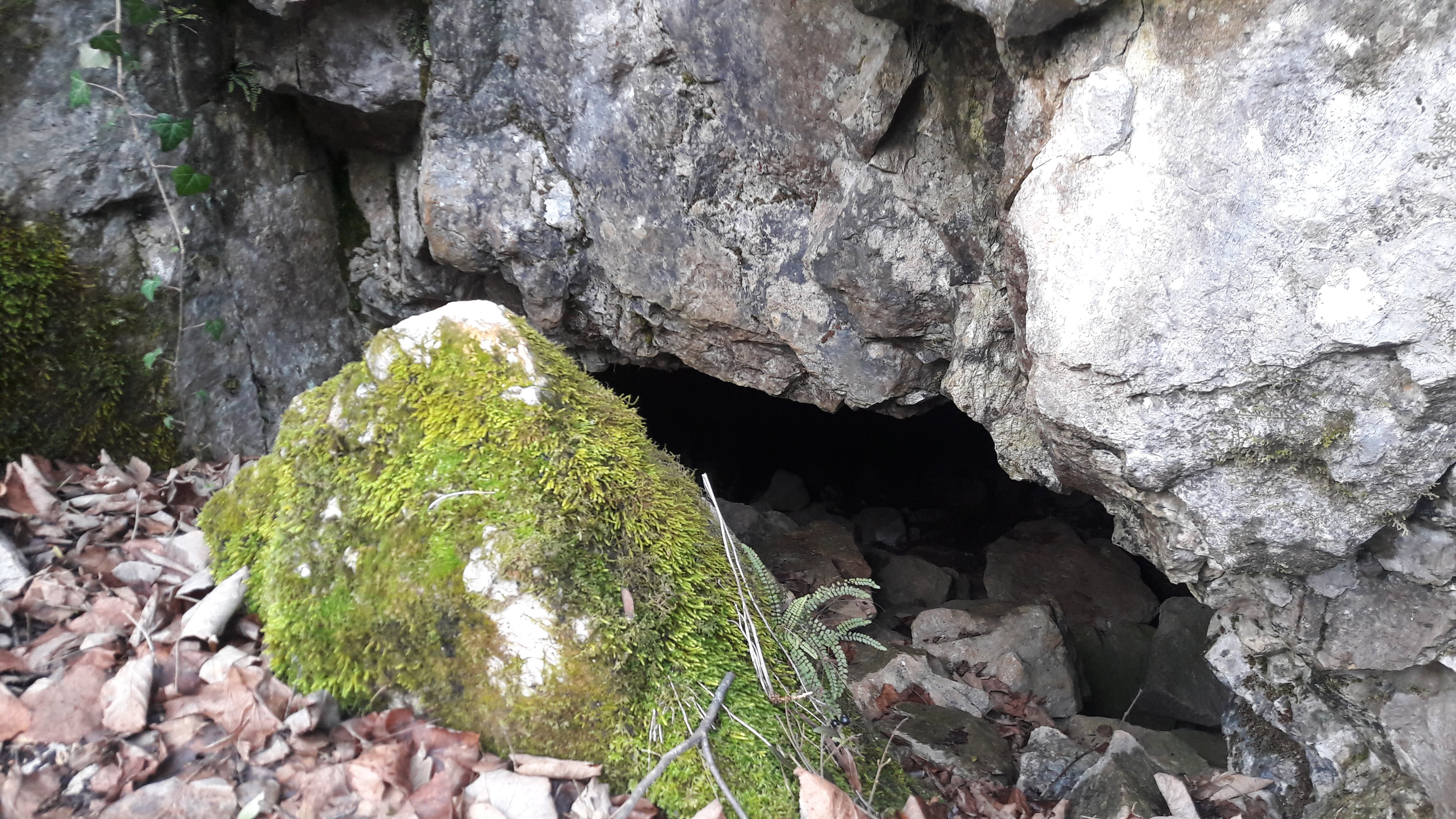 Peștera cu Helictite - Image 3